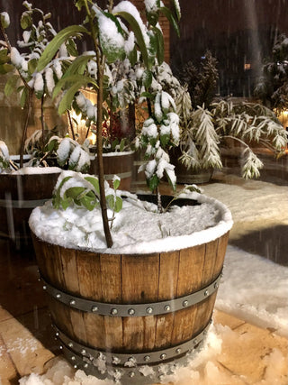 2-Pack x Wine Barrel Indoor Outdoor Planter - Whiskey Barrel Table Modern Decor - Wine Barrel - Bourbon Barrel Planters Obarrel.com