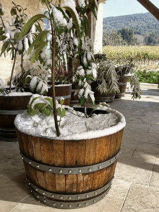 Whiskey & Wine Barrel Half-Barrel Planter — Multi-Use, Wine-Stained Oak