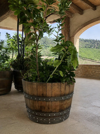 Whiskey & Wine Barrel Half-Barrel Planter — Multi-Use, Wine-Stained Oak
