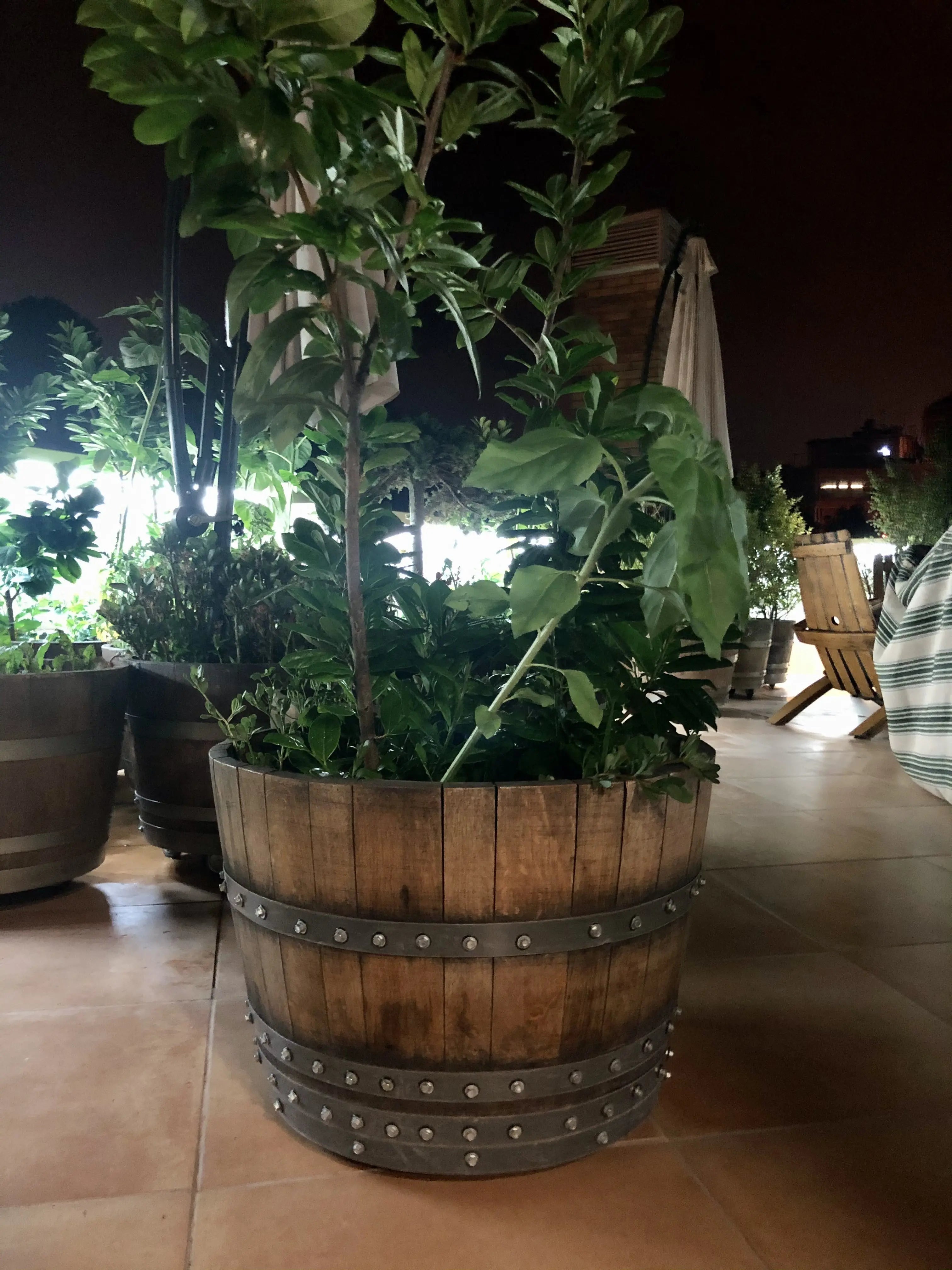 barrel planter pots Wine, Whiskey & Bourbon Barrel Planter / Chest